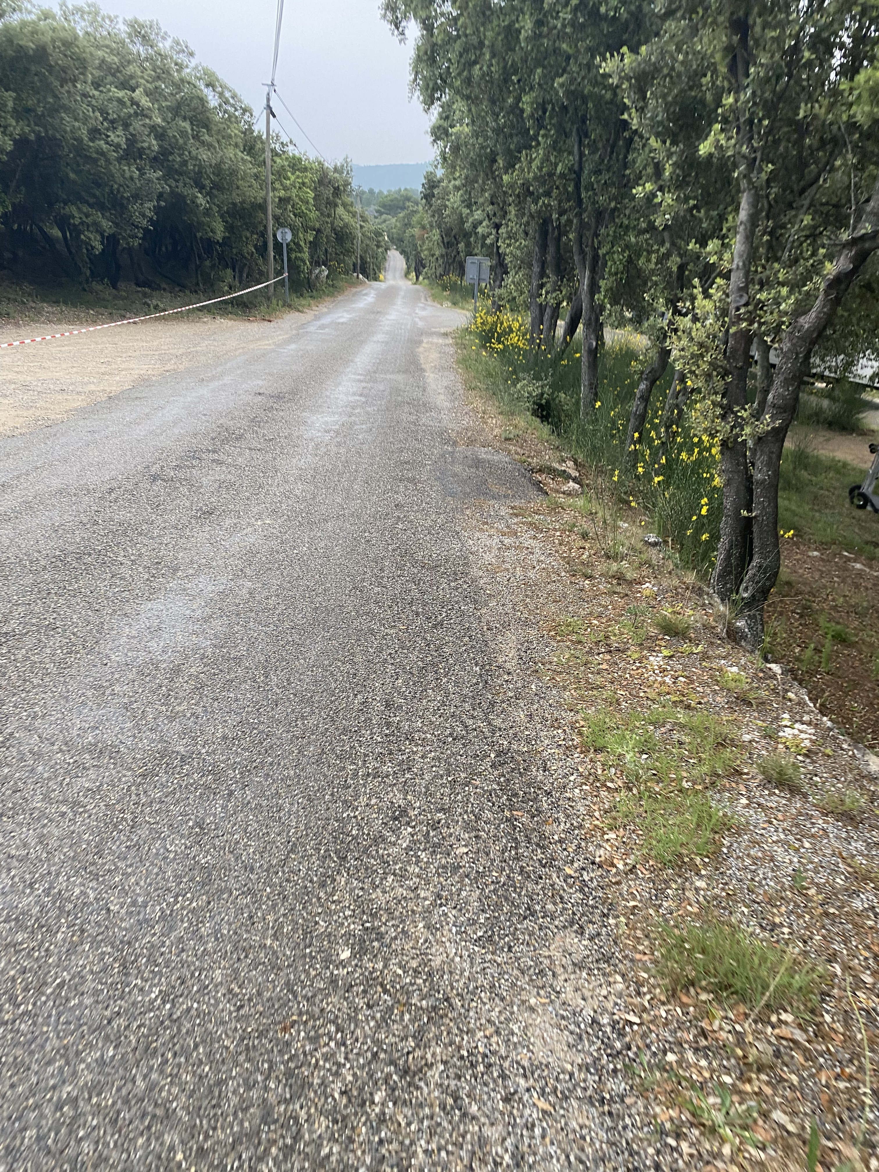 Route entourée d'arbres près du lieu de tournage