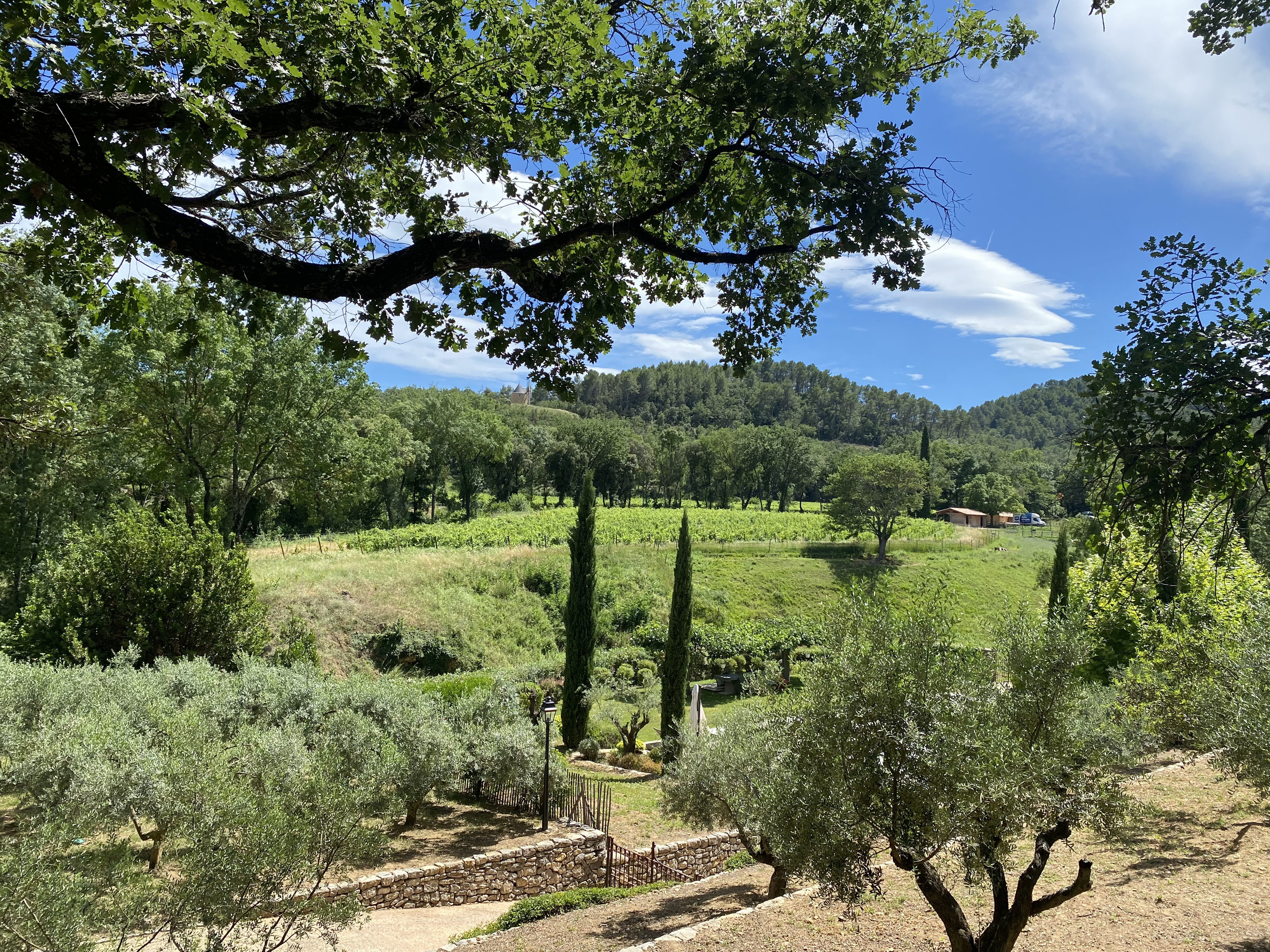 Grand paysage provençal autour de Tourtour